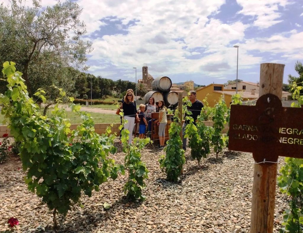 WINES & BUNKERS