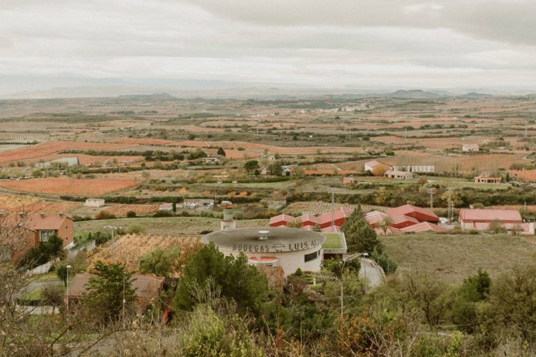Bodegas Luis Alegre