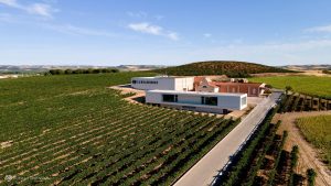 BODEGAS CARRAMIMBRE