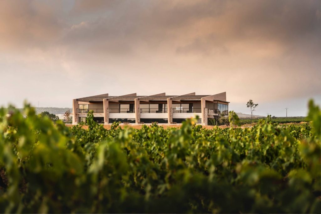 Celler At Roca