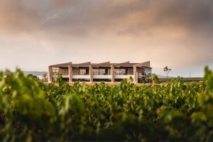 CELLER AT ROCA