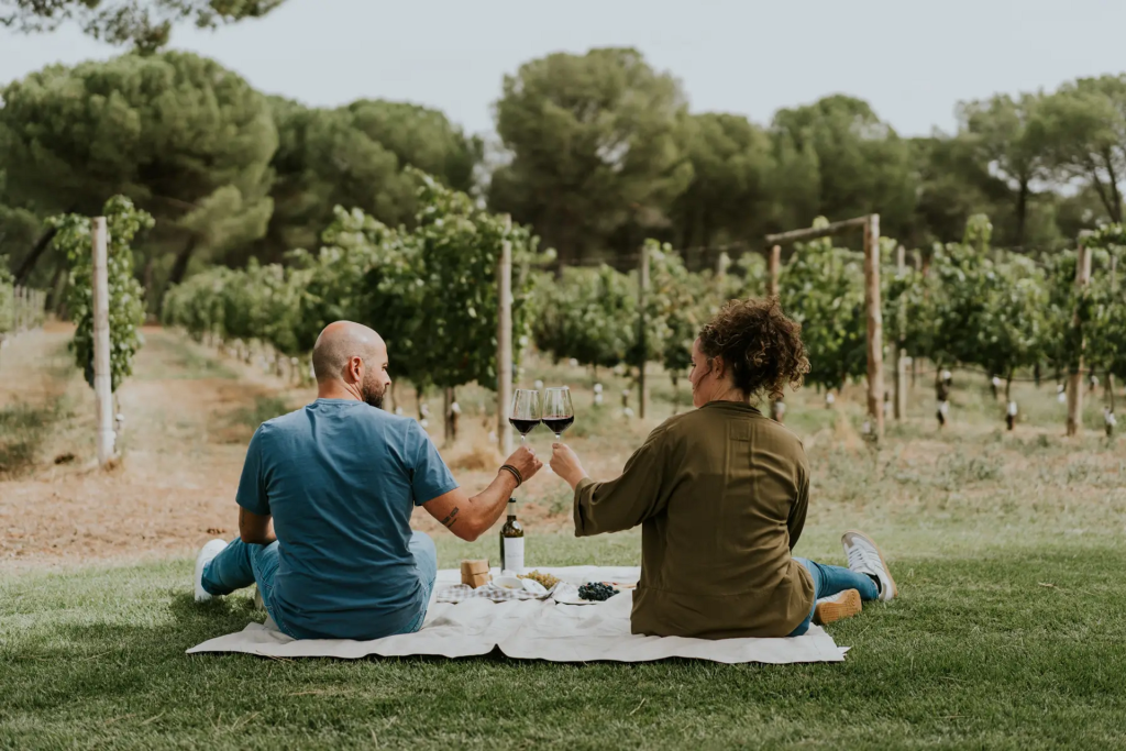 Picnic among vineyards