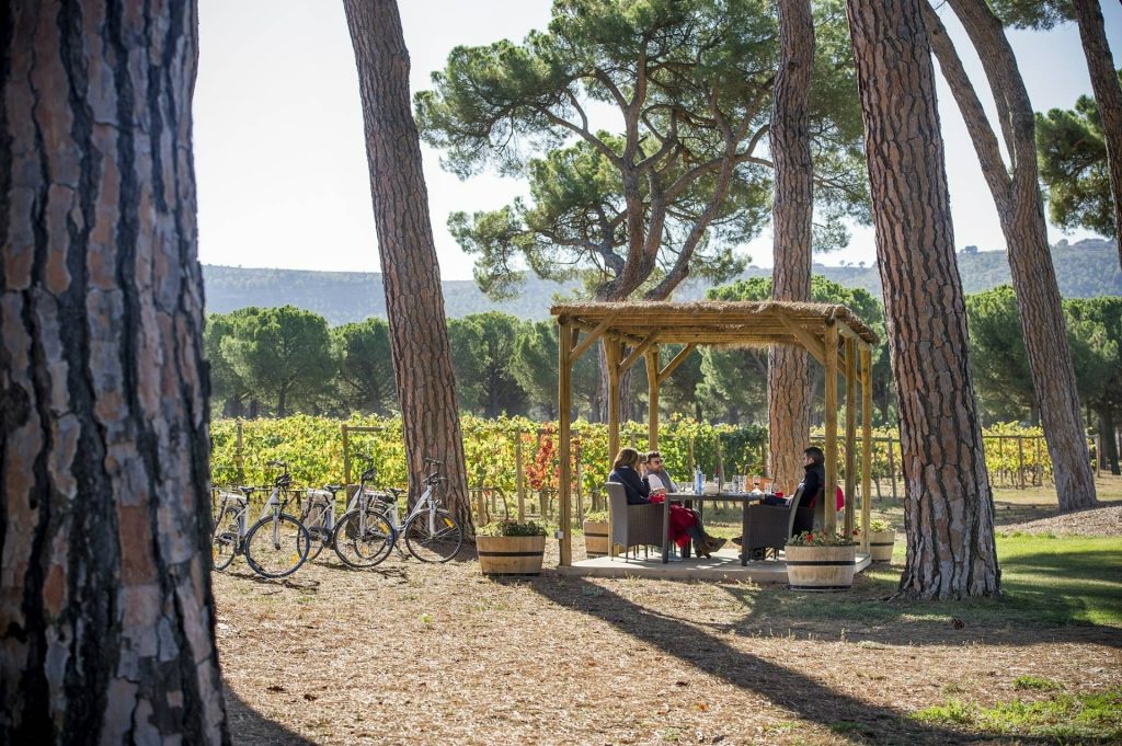 Picnic on wheels
