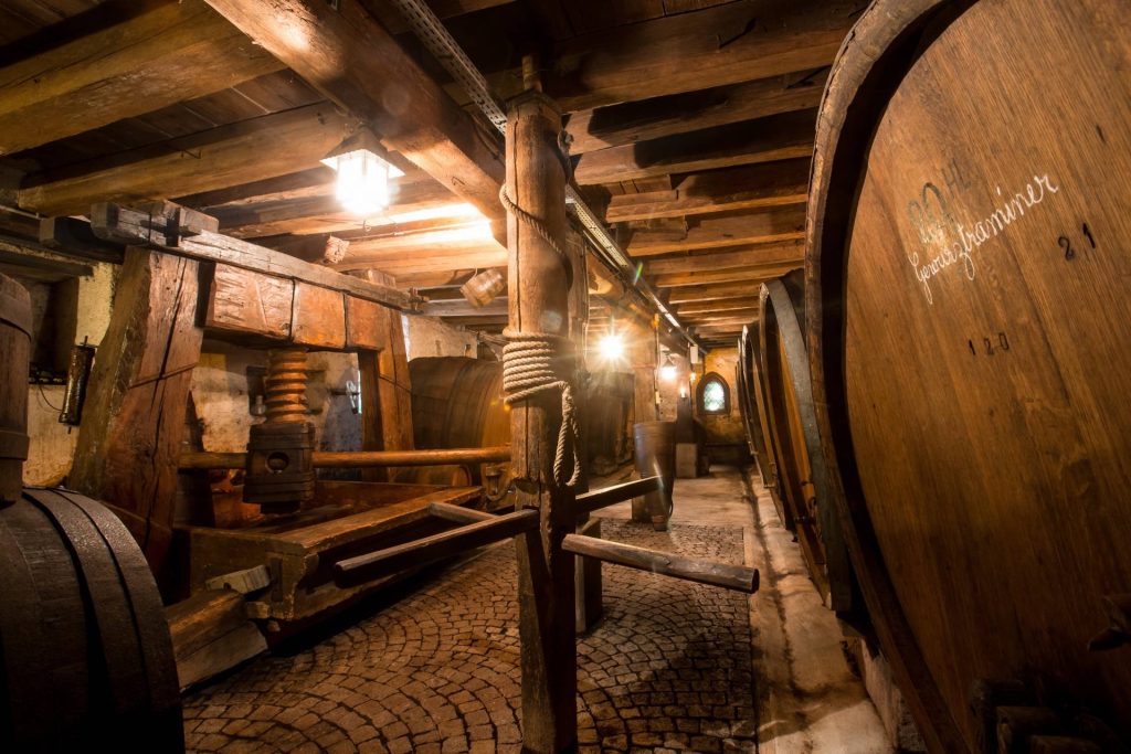 Visit and tasting of Biodynamic wines