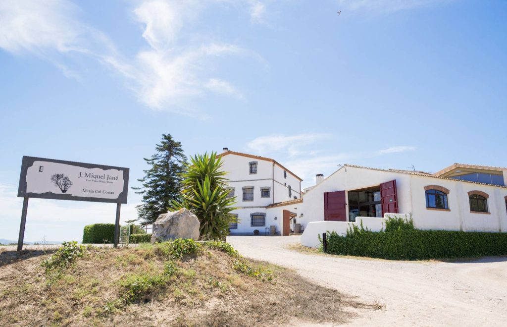 Visit the winery with tasting