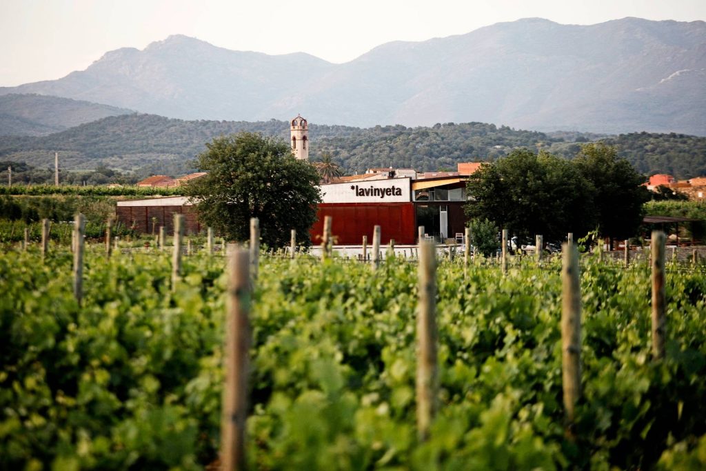 La Vinyeta