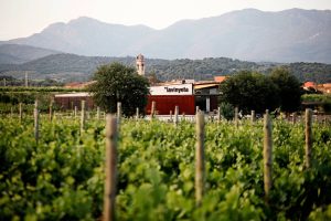 LA VINYETA