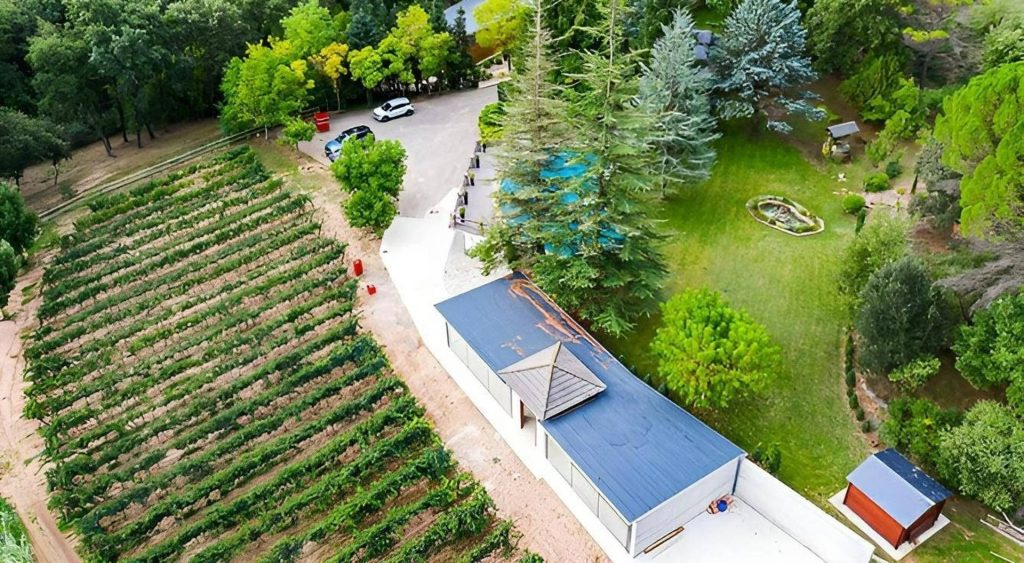 Bodega Les Acàcies