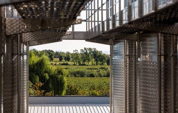 Wine Walk