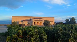 BODEGAS TEMPORE