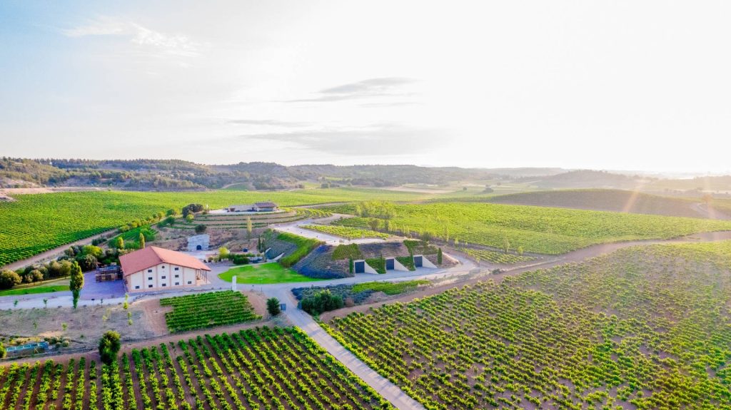 Bodegas Valduero