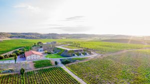 BODEGAS VALDUERO