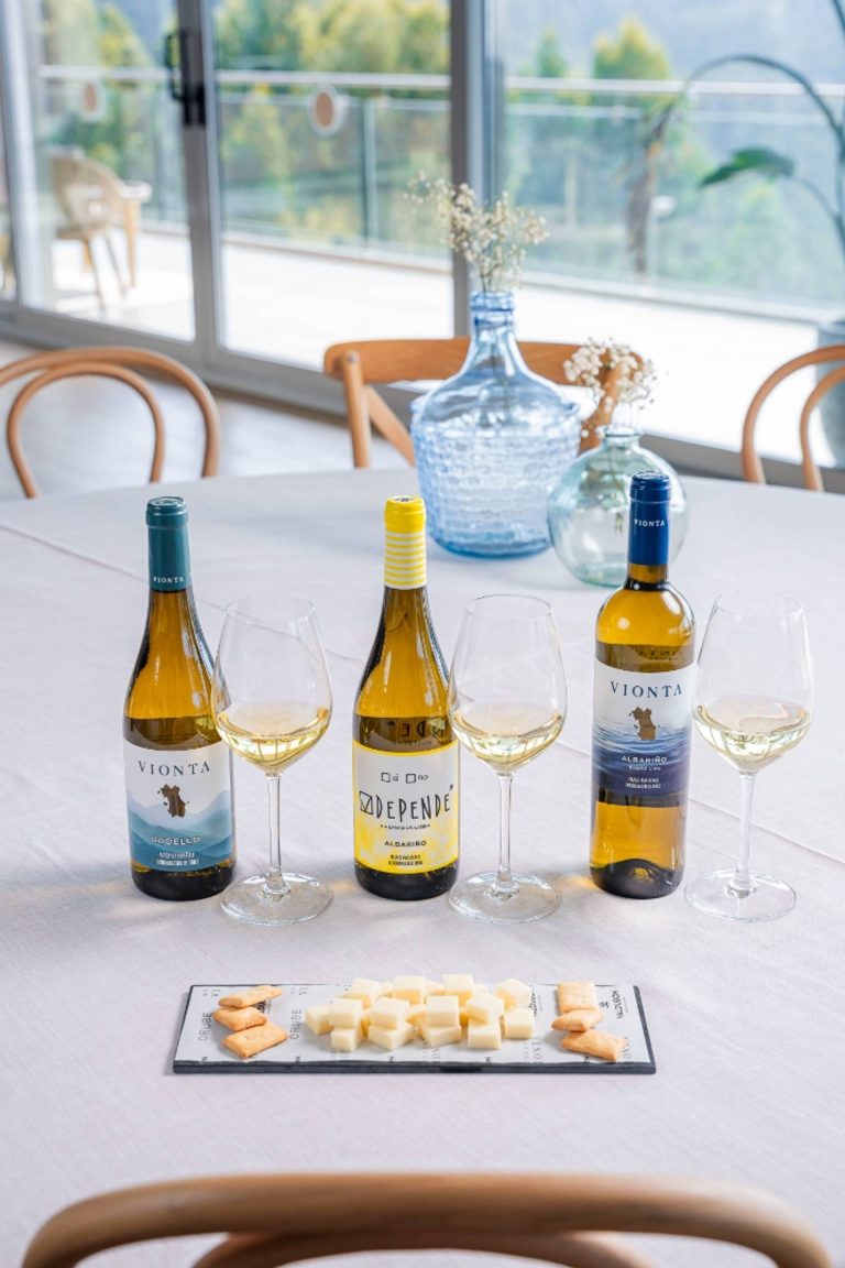 Bodegas Vionta