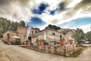VINS EL CEP