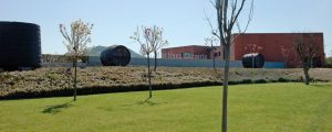 BODEGAS MARTÍNEZ LACUESTA