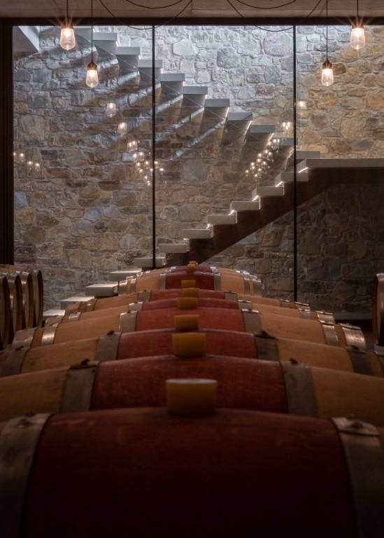 Quinto Tasting