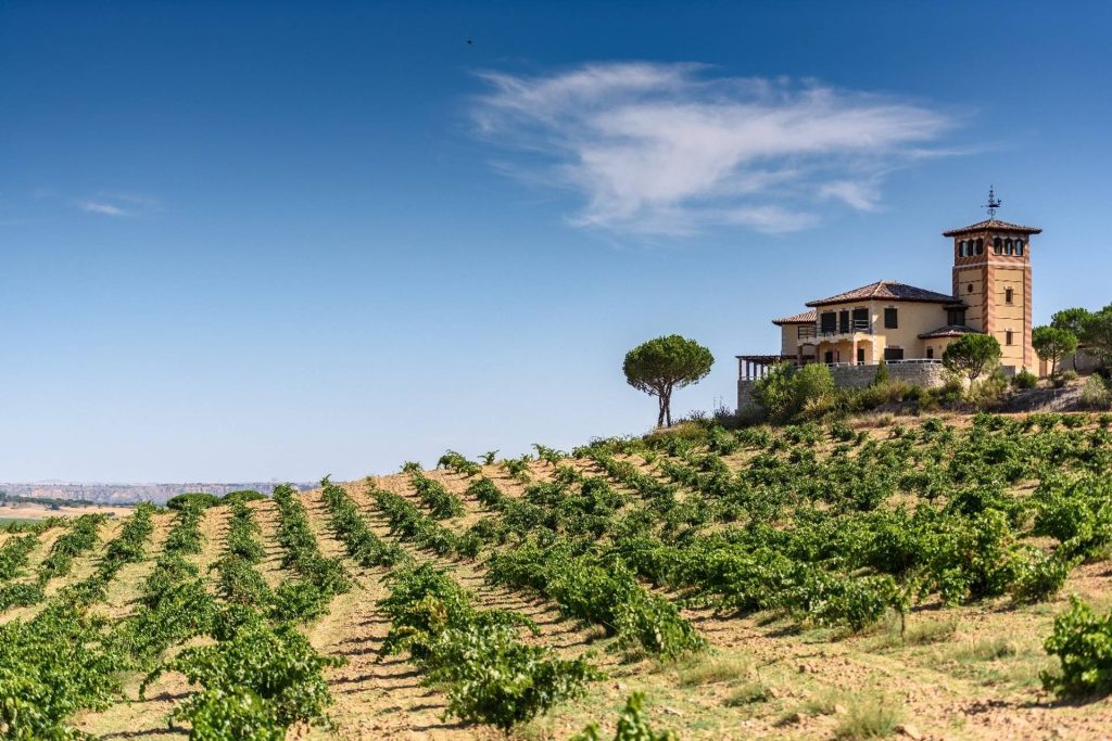 Bodegas Piedra