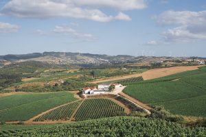 QUINTA DA CIDADOURA
