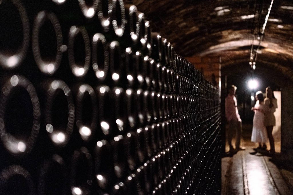 Visit with wine and cheese tasting