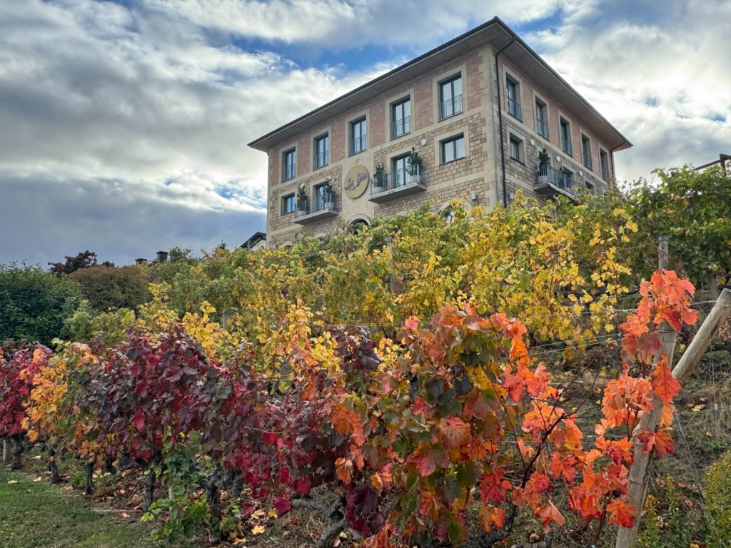 Bodegas Luis Cañas
