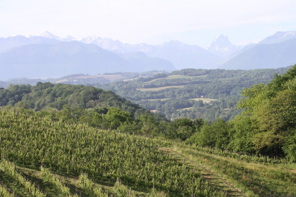Clos Lapeyre