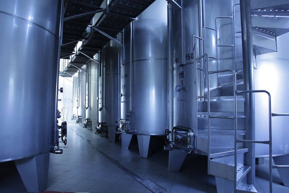 Wine Trekking