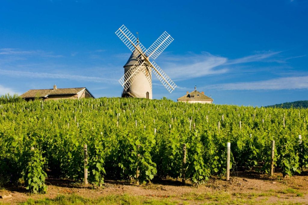 Beaujolais