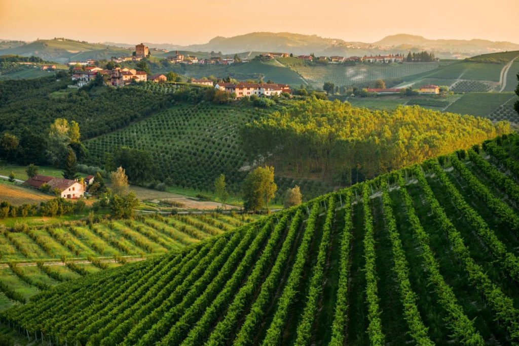 Piedmont