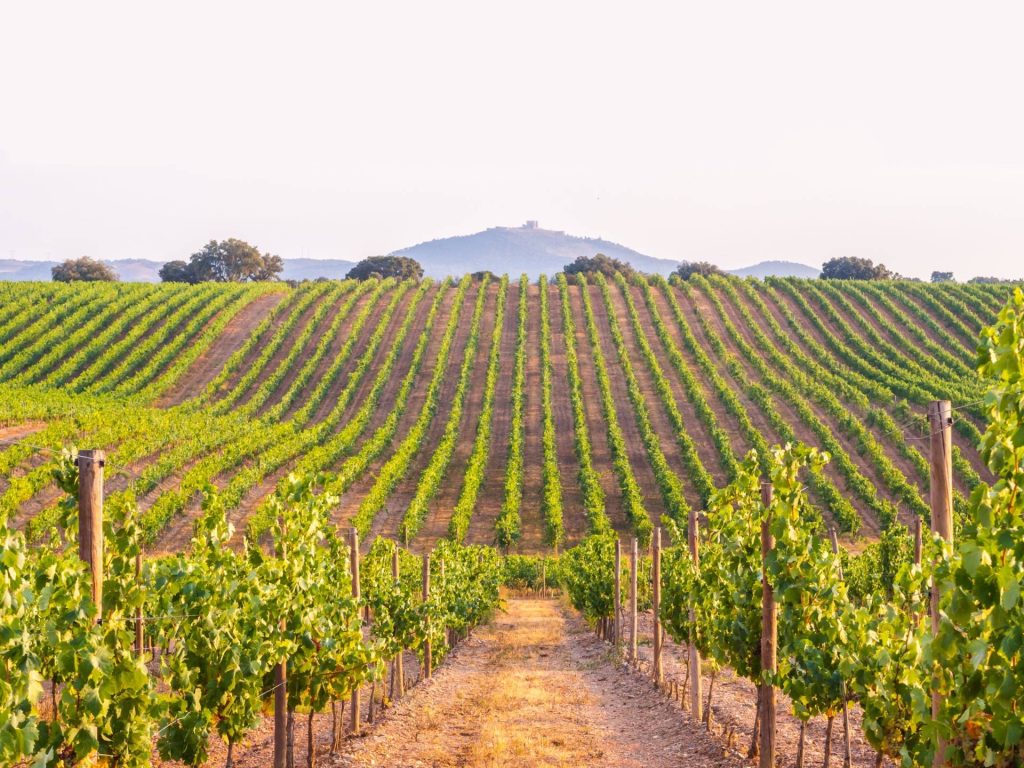 Alentejo