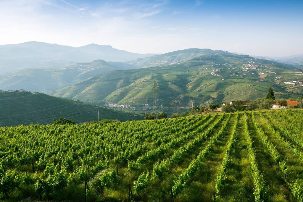 Vinhos Verdes