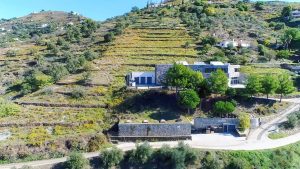 BODEGAS BENTOMIZ