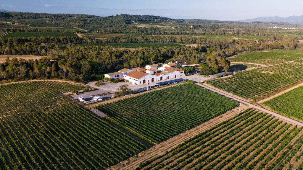 Caves Nadal – Corpinnat
