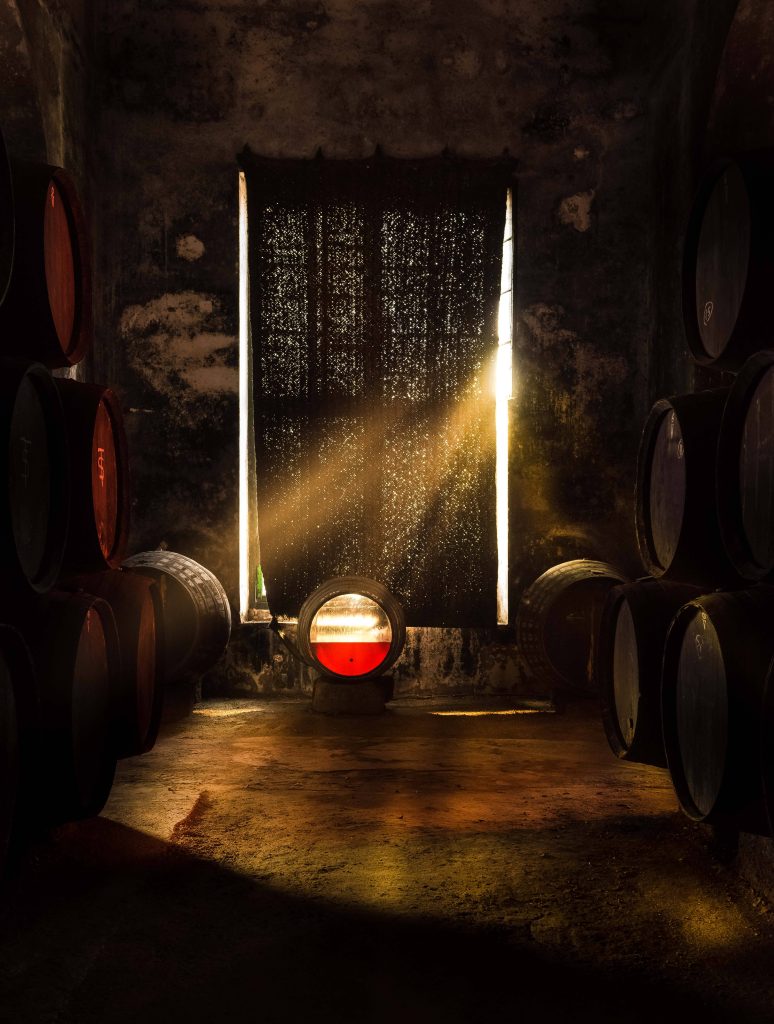 Private visit to the winery and tasting 3 wines with Iberian products