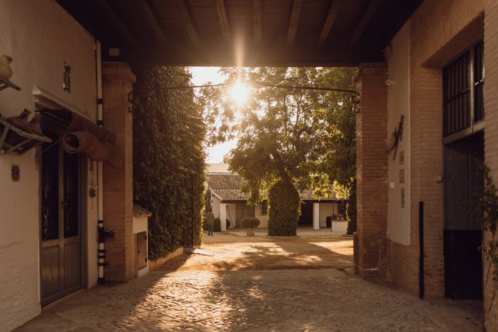 Bodegas Salado
