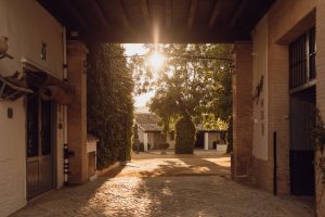 BODEGAS SALADO