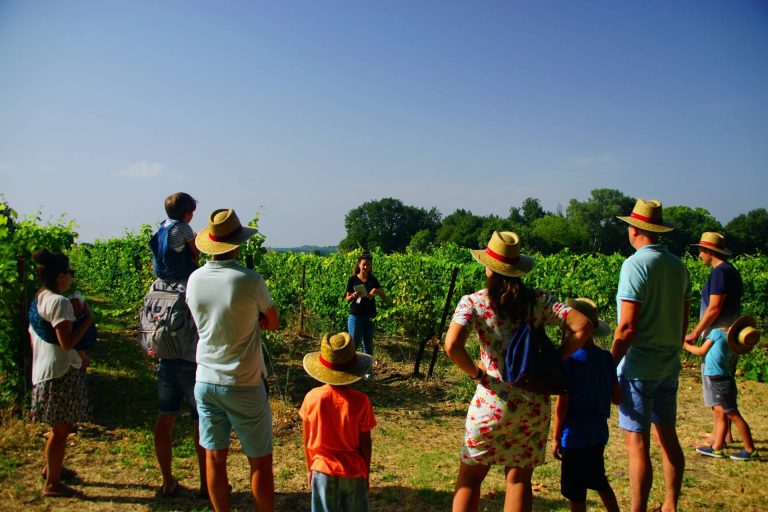 Domaine De Massereau