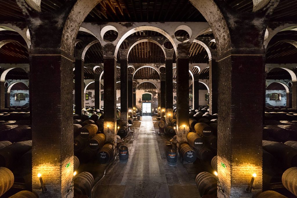 Guided visit to Wineries and Tasting of 3 wines