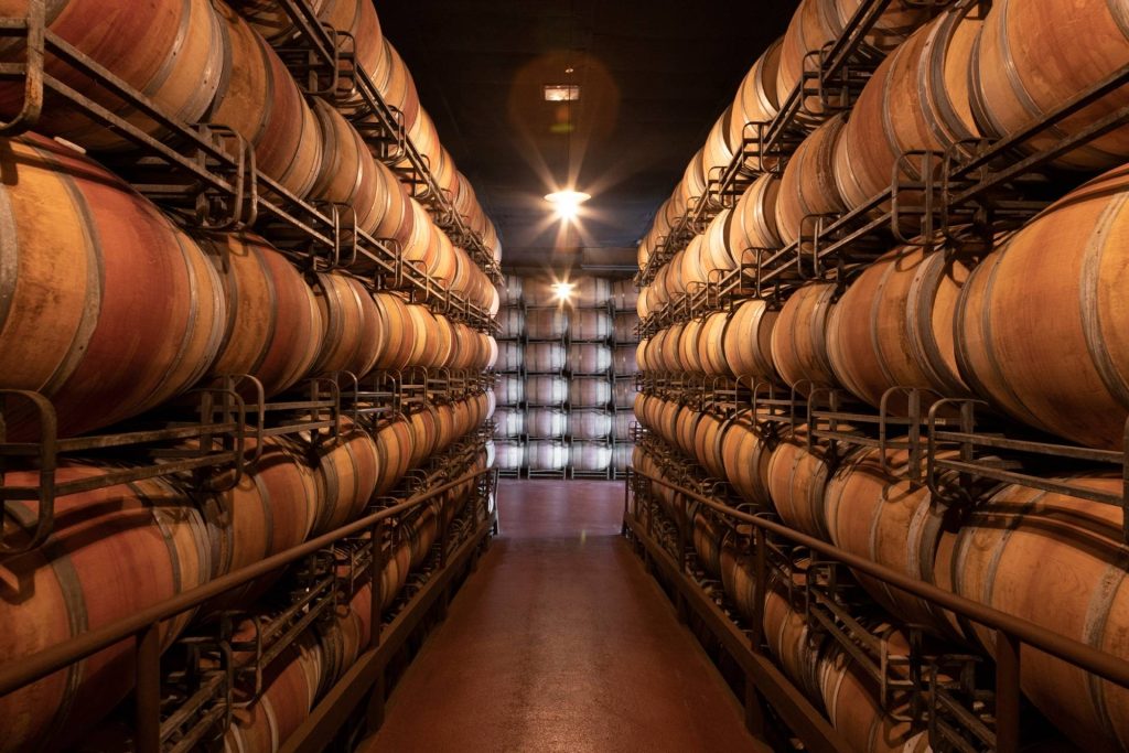 Visit to the winery