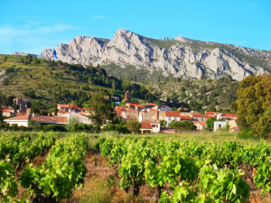 DOMAINE VENTS DU SUD