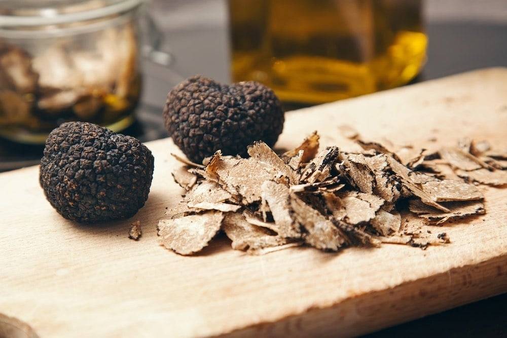 In Search of Truffle